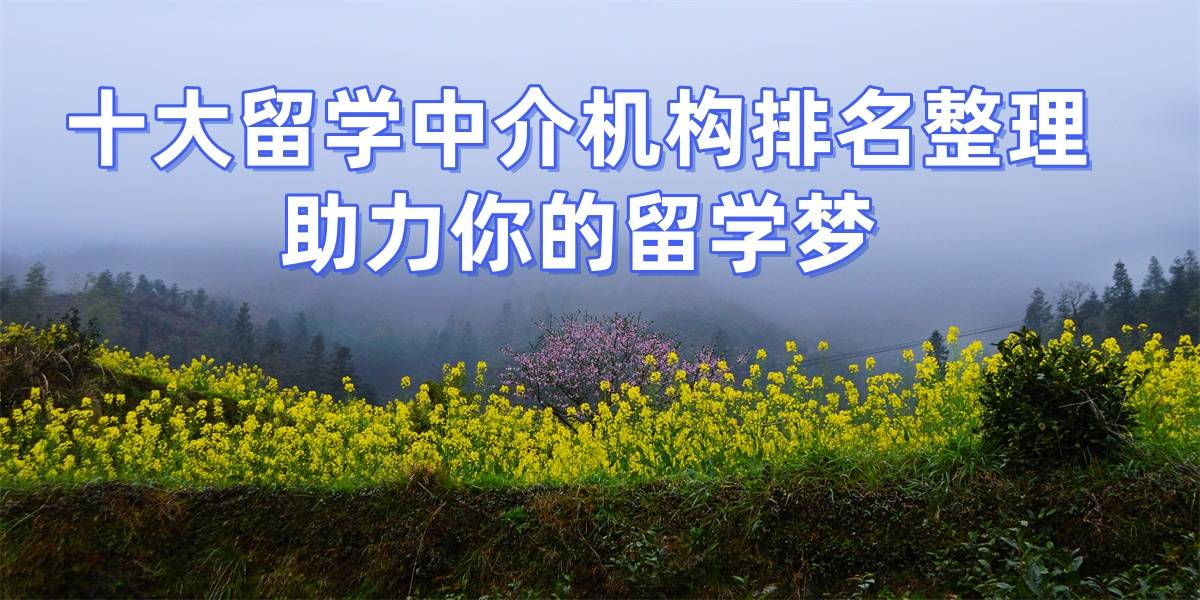 考研结束立即规划！技术赋能申请秋季入学免费规划乐鱼