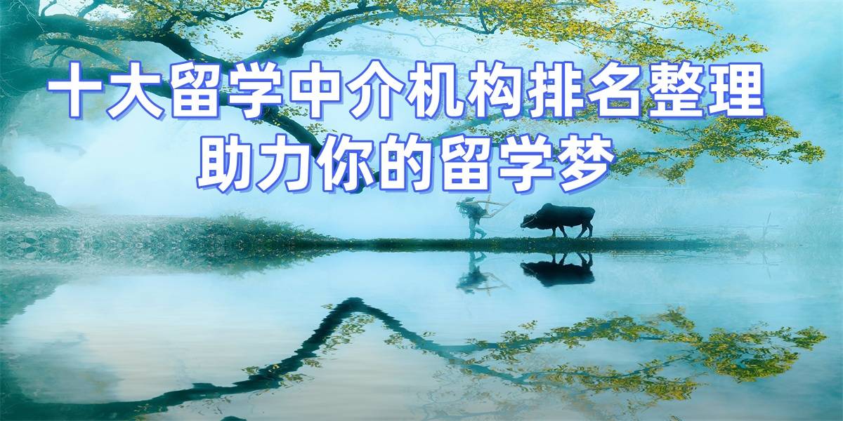 乐鱼体育- 乐鱼体育官网- APP世界杯指定平台2026年淮安头部留学机构深度剖析稳定可靠服务全方位解读