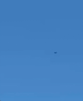 哥别动手,我是美国人!美国飞行员统一跪地投降是有标准的?