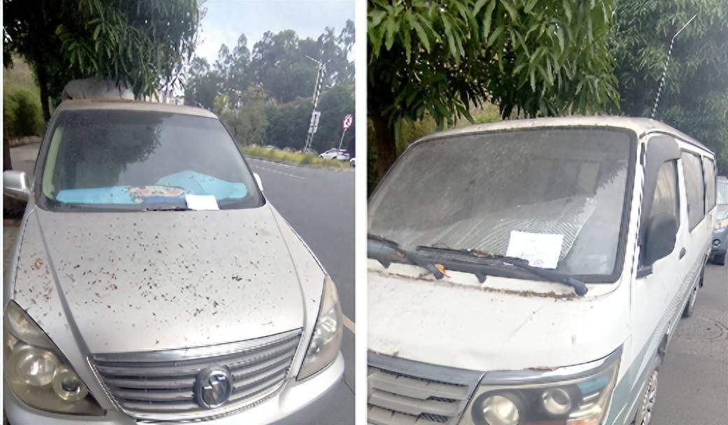 南宁街头“僵尸车”长期占位成“锈车”，交警出手了！