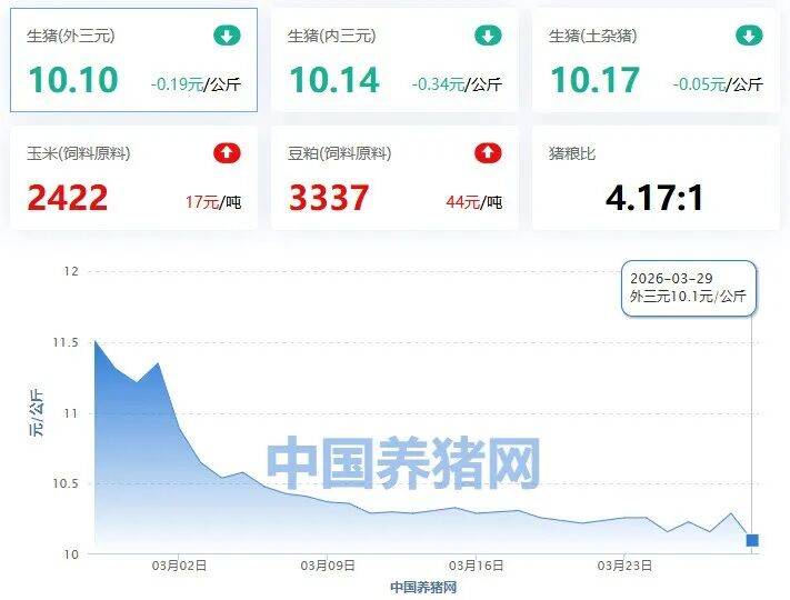 猪价,创历史新低