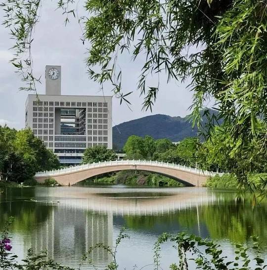 重庆大学出国留学有哪些硬性门槛-重大留学避坑指南-