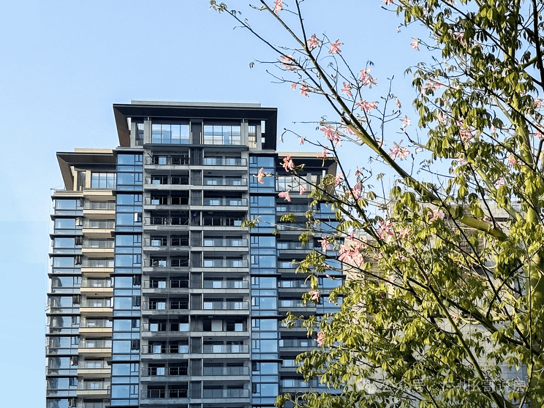 文章配图-31
