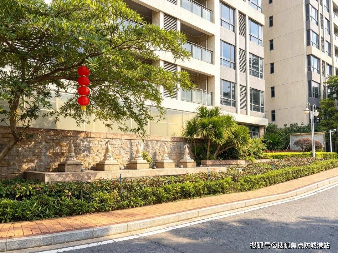 文章配图-10