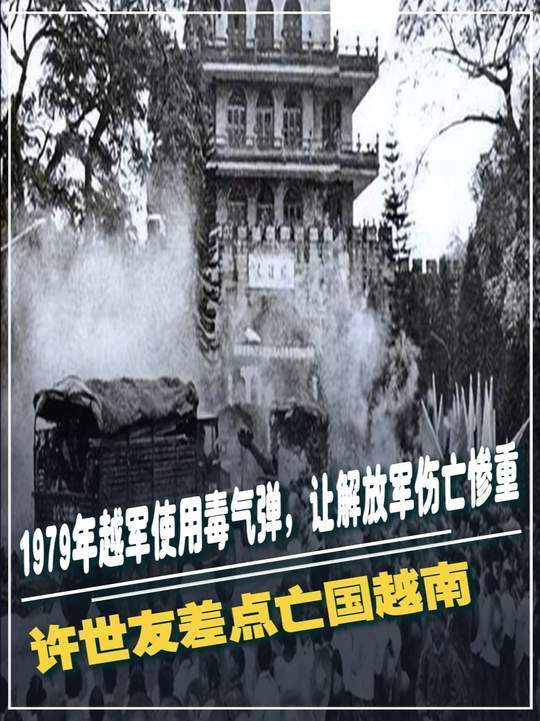 1979年越军使用毒气弹，让解放军伤亡惨重，许世友差点亡国越南#军事科技 #军事科普 #军事迷 #军事爱好者 #大国重器