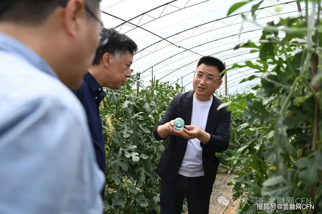 大兴西瓜火爆出圈！北京人生活新时尚：去大兴摘西瓜！