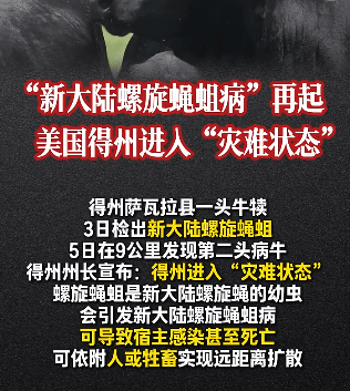 
        美国得州进入“灾难状态”