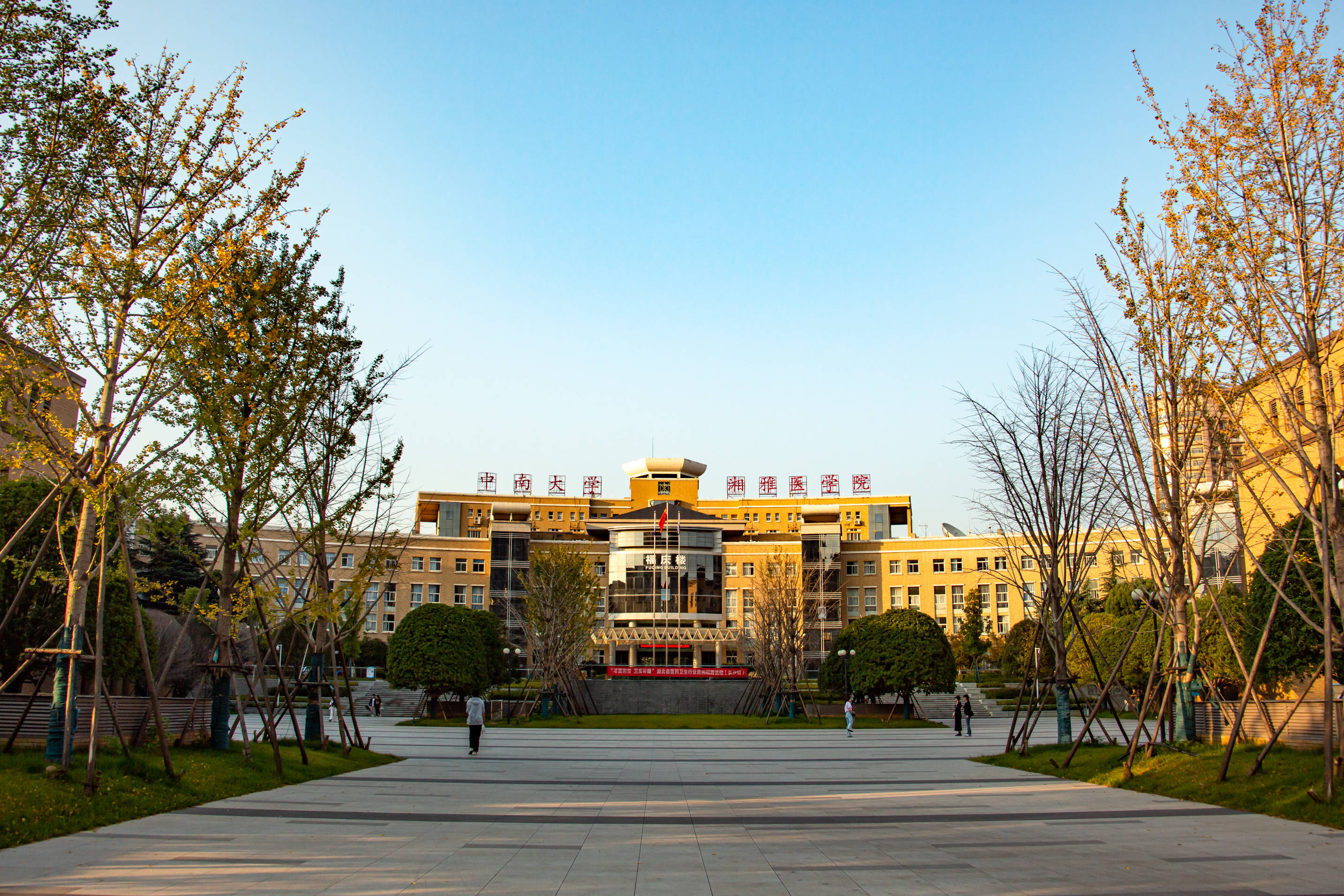 文章配图-1