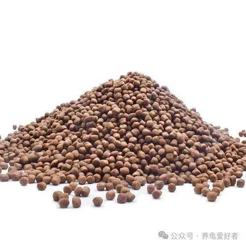 
        只喂一种龟粮，龟壳真的会塌吗？别被伪科普带偏了