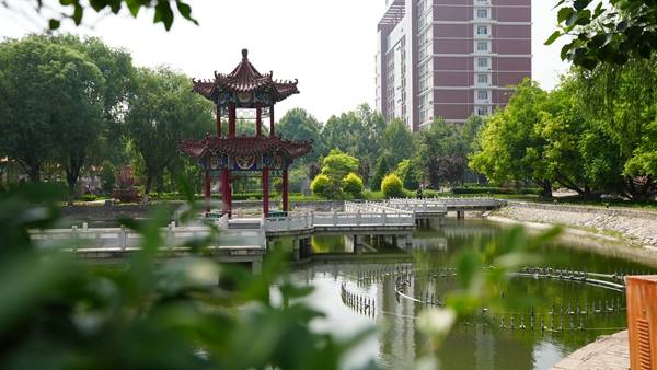 想学中西面点怎么选烹饪技校
