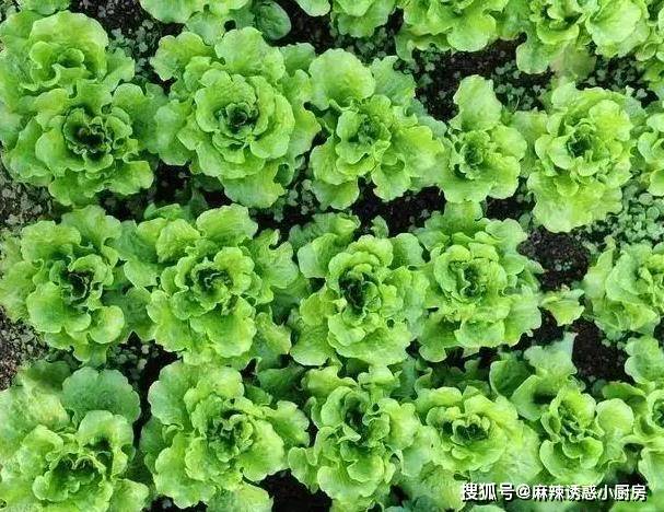 
        煎鱼时，还直接下油锅？20年大厨：多加“1步”，鱼皮酥脆不粘锅