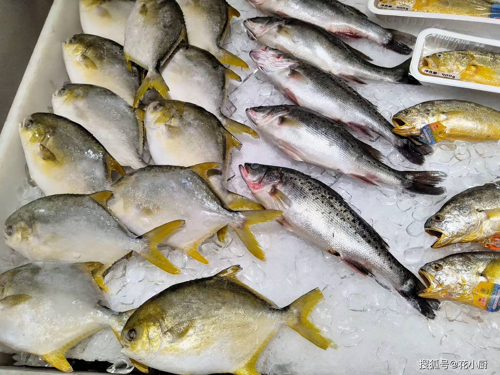 
            秋天比较补的鱼，不是带鱼鲈鱼，而是这三种，再贵也要买！肉厚刺少，鲜美好吃，营养好吸收！