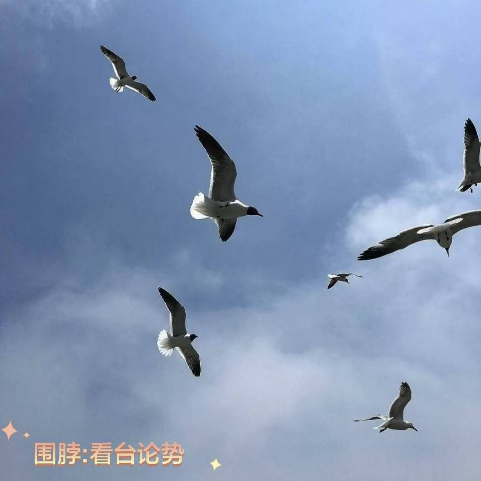 科隆