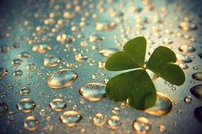 王祖蓝感谢郑恺