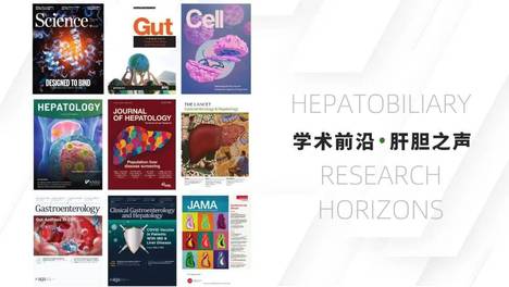 学术前沿｜J Hepatol：生酮和非生酮减肥饮食对MASLD患者的不同影响