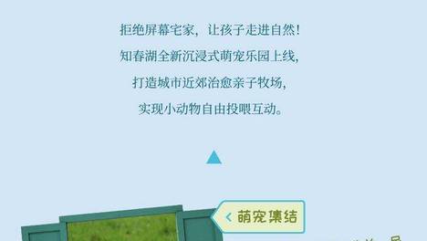 暑期限定，知春湖温泉三大王牌上线，承包你的整个夏天！