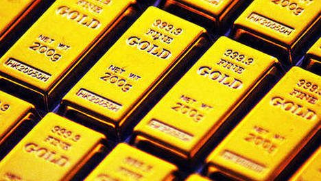 不要给宠物起奇怪的名字成绩被屏蔽女孩坚信不存在智商差距