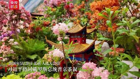 时政快讯丨习近平将同俄罗斯总统普京茶叙