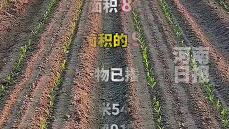 内容配图