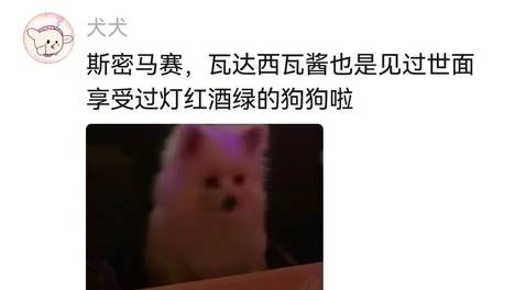 狗子羡慕电视上的AI小狗跳舞开启自学，谁知竟成了东施效颦…评论区：洗脑的我知道，但这洗狗脑的还是第一次见…
