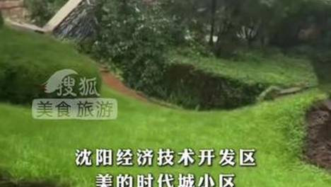 内容配图