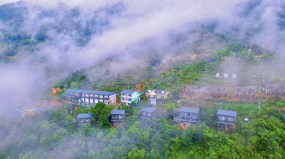 5名员工出差遇车祸3死2伤