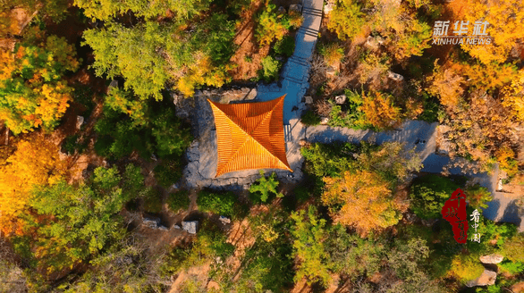 陈妍希夸肖战谦逊有礼
