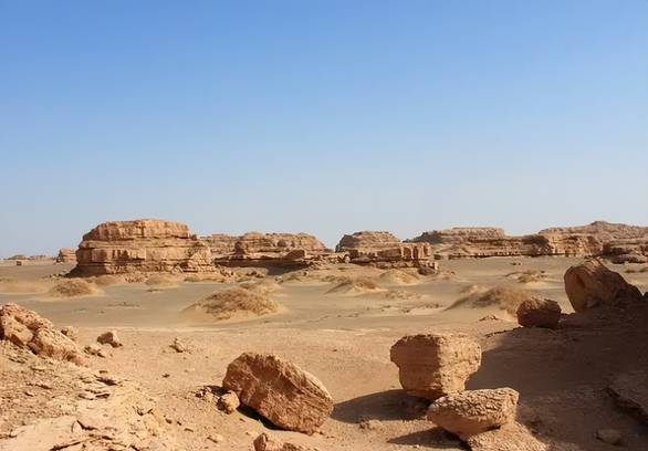骨科妇科医生推荐咳嗽药