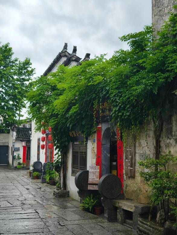 三亚卫健委通报女子被蛇咬伤身亡