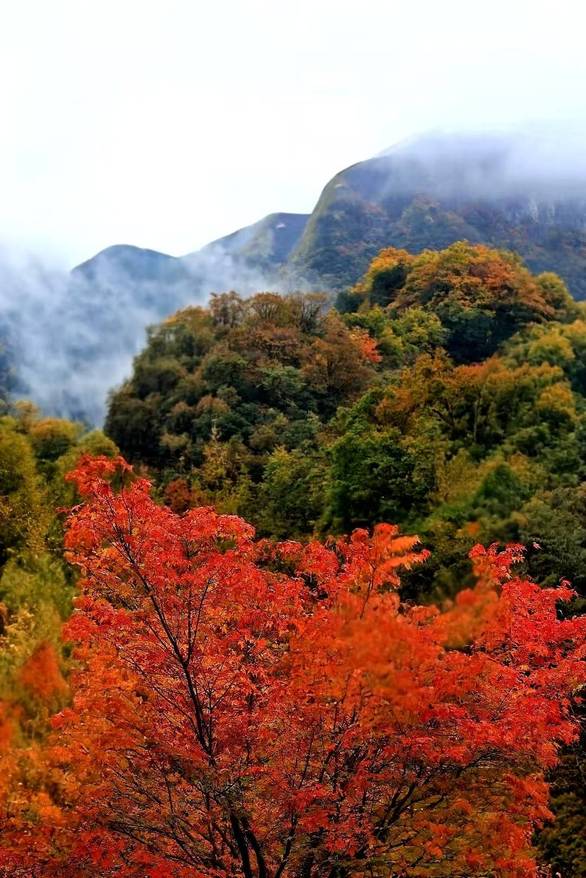 外卖0元购首批受害者出现了