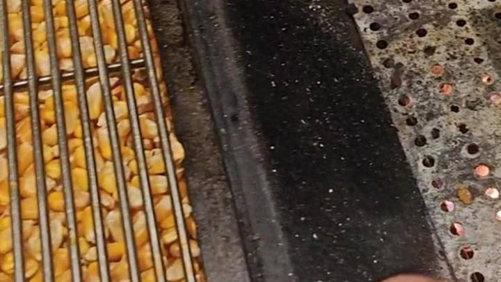 大连一烤肉店用玉米粒作燃料,你觉得是浪费粮食吗?