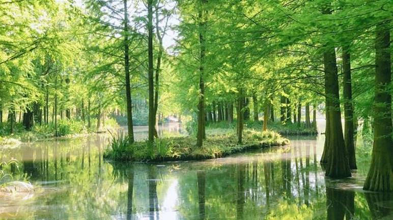 雷军说小米YU7不可能19.9万