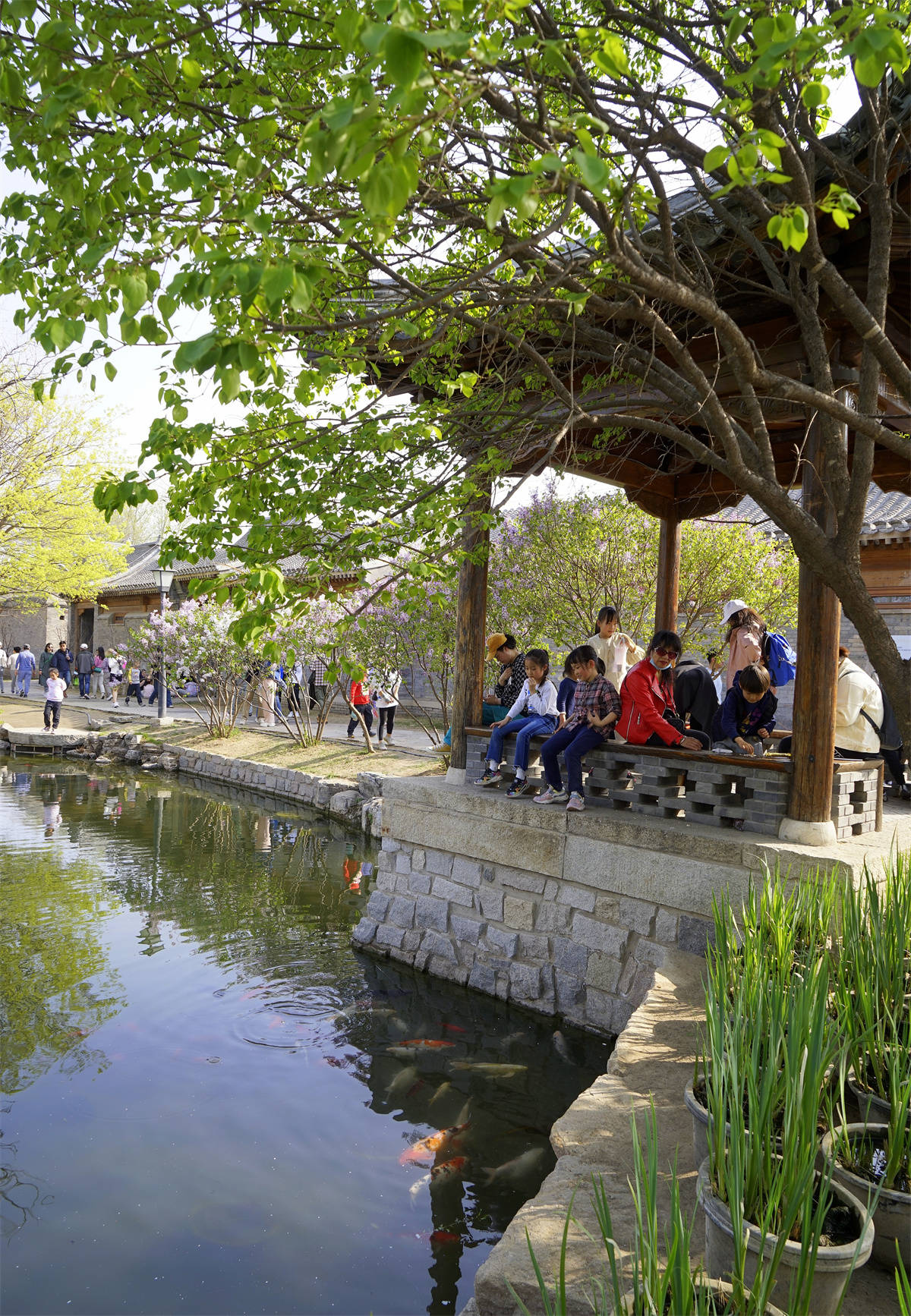 京城一日游：逛古都、品美食、赏美景