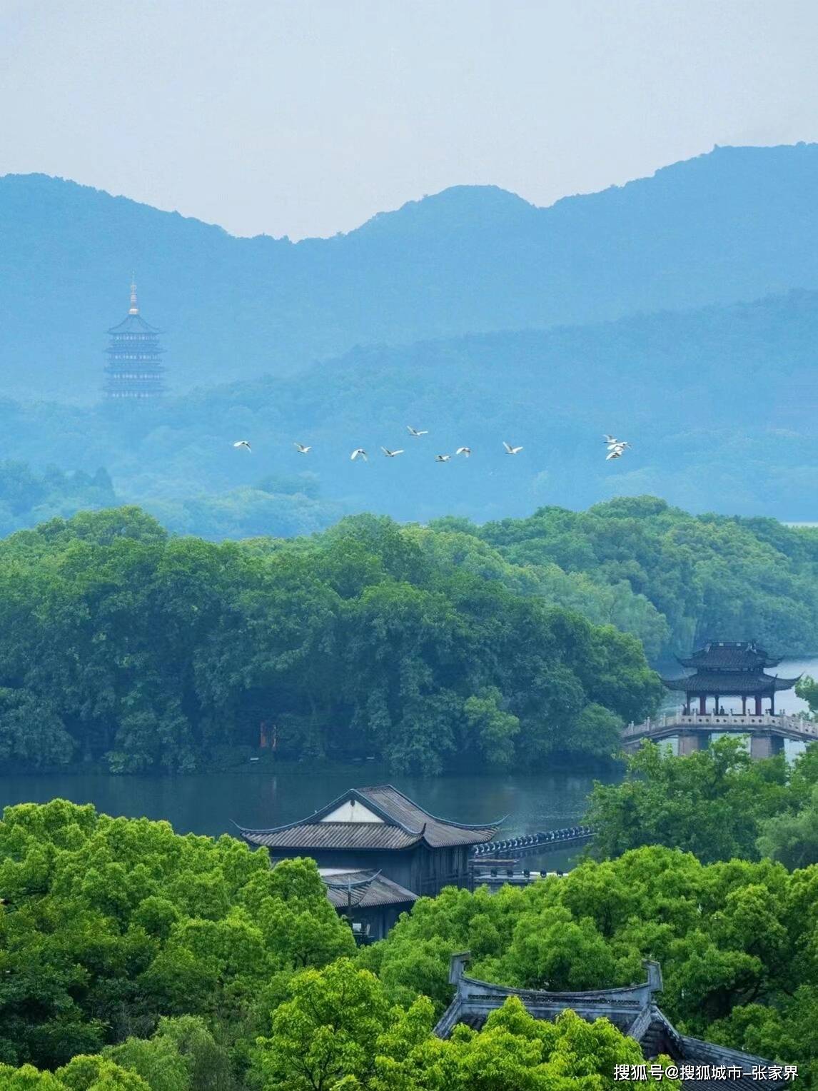上海南京苏杭5日游跟团费用，华东5日游攻略及花费，看完这篇不踩坑