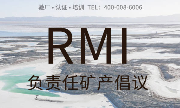 王者荣耀最新数据官网(什么是RMI认证？RMI认证工作内容包括哪些方面？有哪些实施措施？)