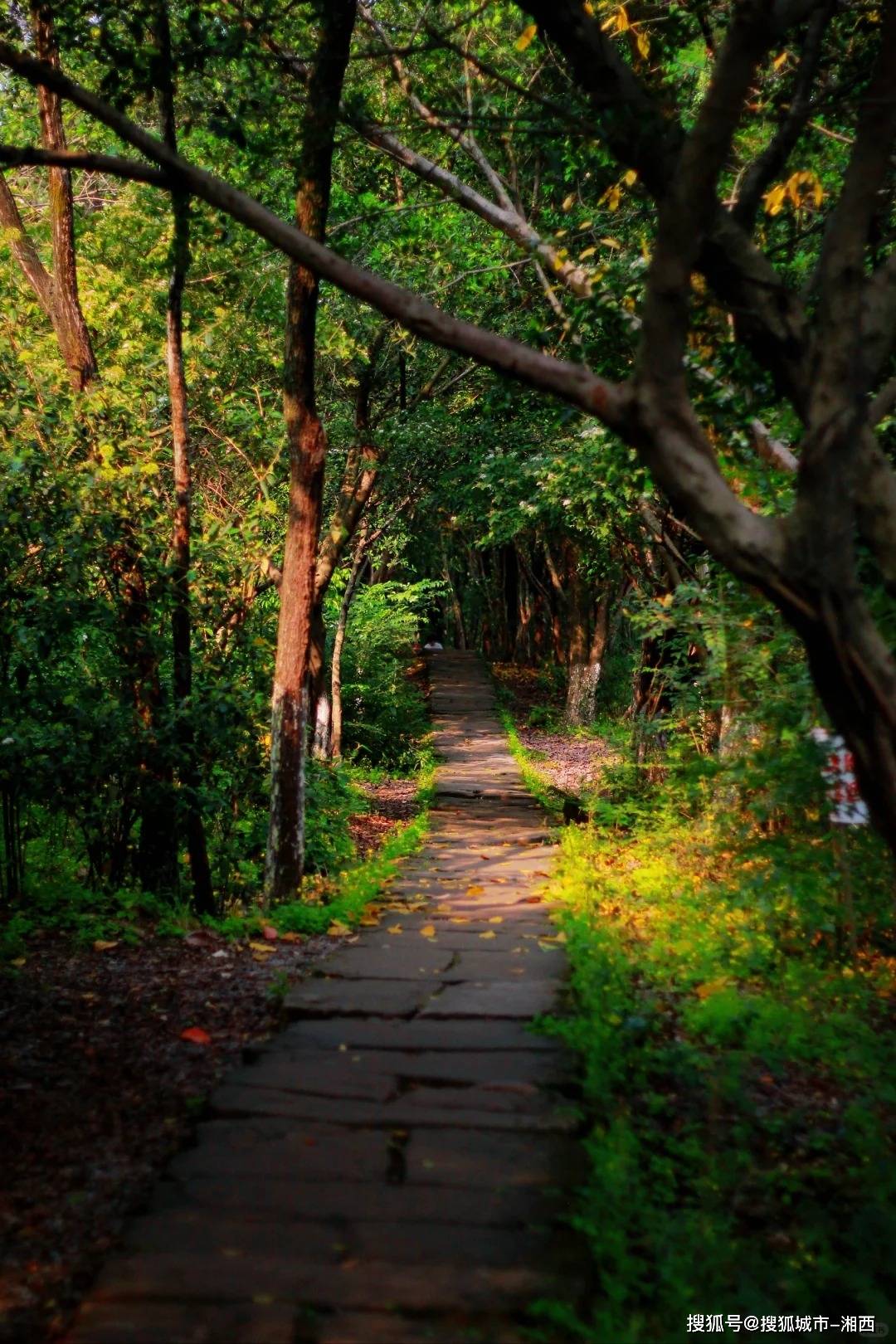 重庆旅游团报名4日游价格，重庆武隆旅游4日游价格