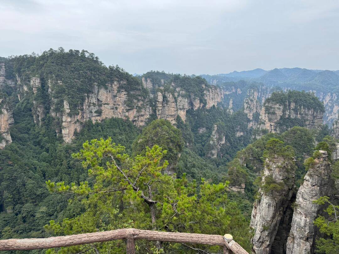 张家界旅行预算攻略：尽享自然奇观畅美嘉体育官网游五日精华建议收藏(图1)