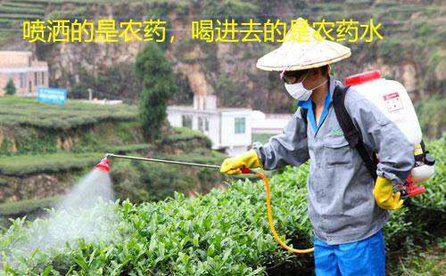 PG电子入口茶叶也不能喝了欧盟一天两拒中国茶：茶叶安全质量标准太奇葩(图3)