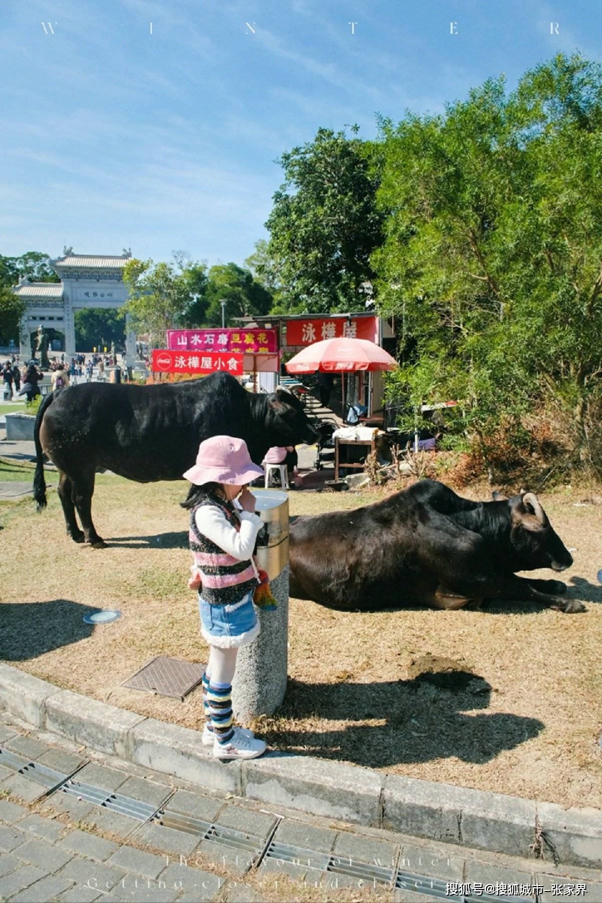 一竞技网址港澳旅行旅游团五天预算需要多少港澳旅行旅游团5天报价不踩坑(图1)