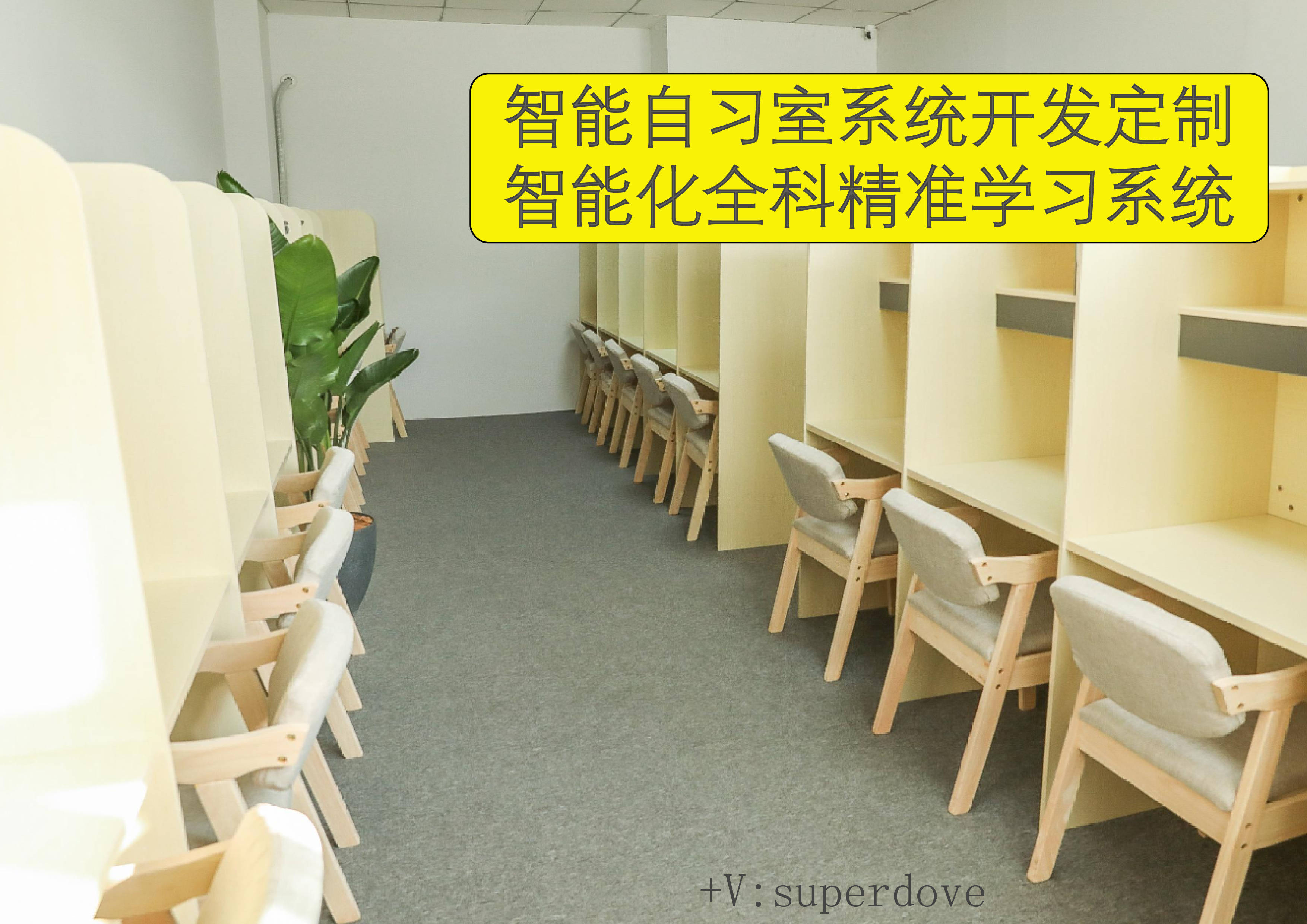ip代理失控