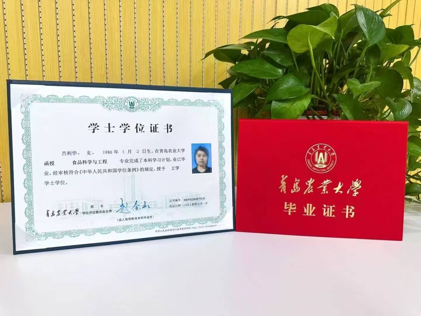 山东成人高考：青岛在职人员学历提升的稳健之选