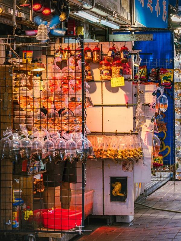 2025港澳旅游五日游攻略最详细路线这永利皇宫- 永利皇宫官网- 娱乐城APP样玩省心