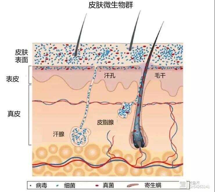 葛林若：10个信号说明皮肤屏障“破防”了，你占了几个？