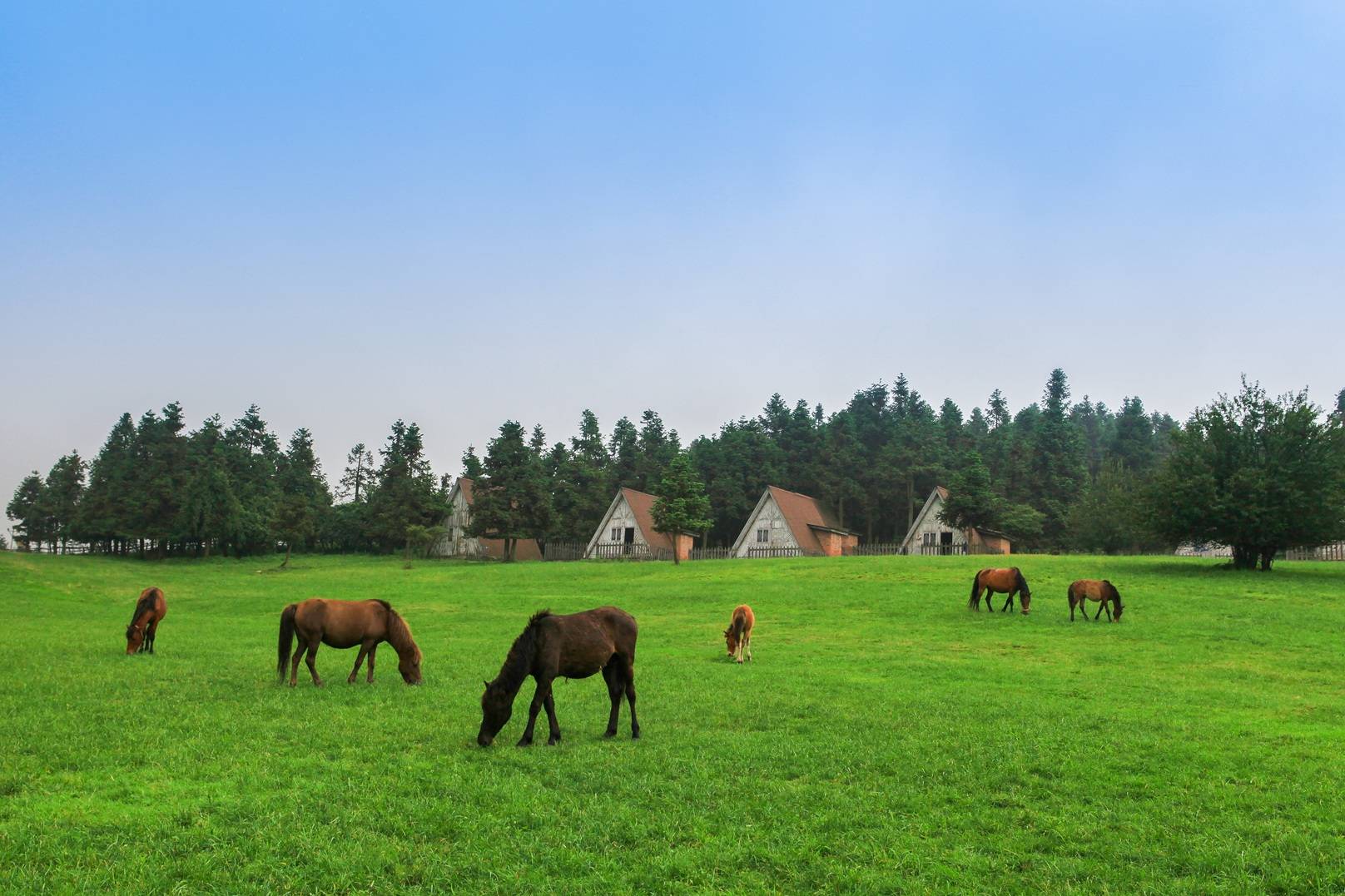 【OKX 哈希游戏】区块链加密游戏玩法教