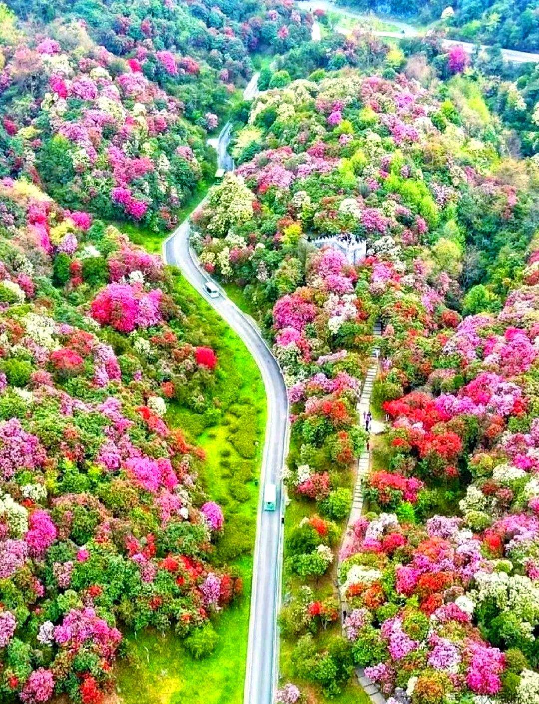 2Binance Casino - 领先的数字货币娱乐场，安全稳定，极速存取026 贵州百里杜鹃赏花 美途说包车攻略超实用