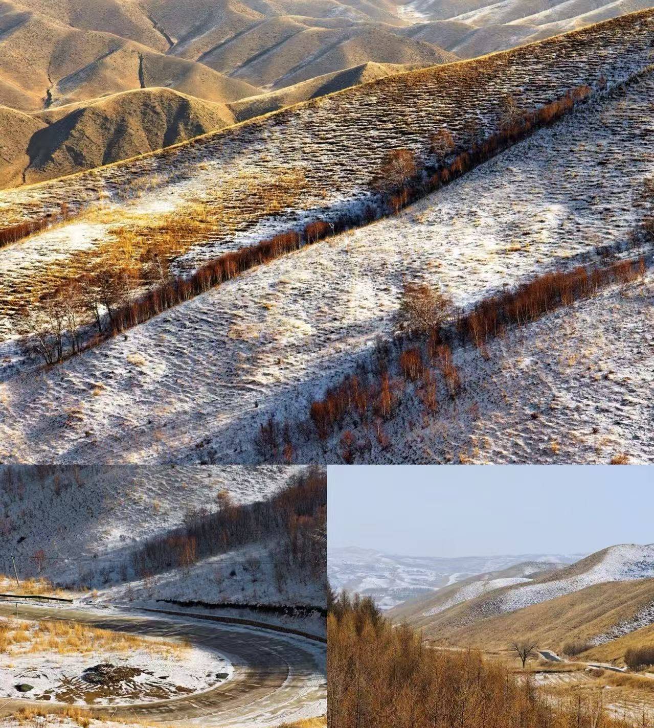 救命！去内蒙古旅游别再踩坑了 这家排名第一的旅行社把本地资源玩明白了德信体育- 