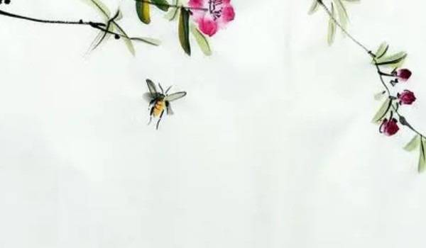 2005年属鸡女2026年财运怎么 2005年属鸡2026年财运