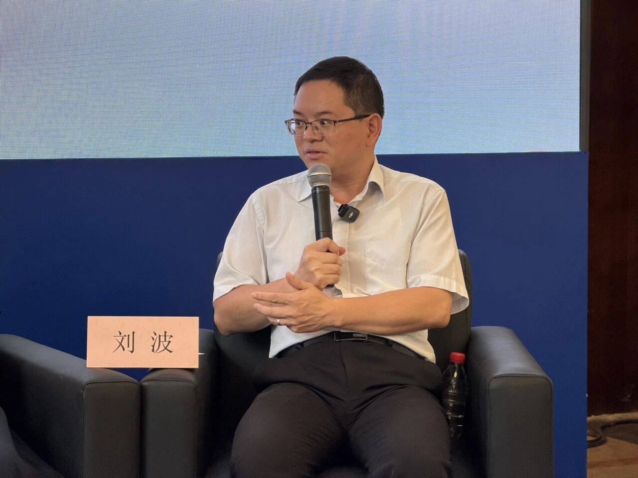 国家图书馆古籍馆副馆长、丛书执行主编刘波发言.jpeg