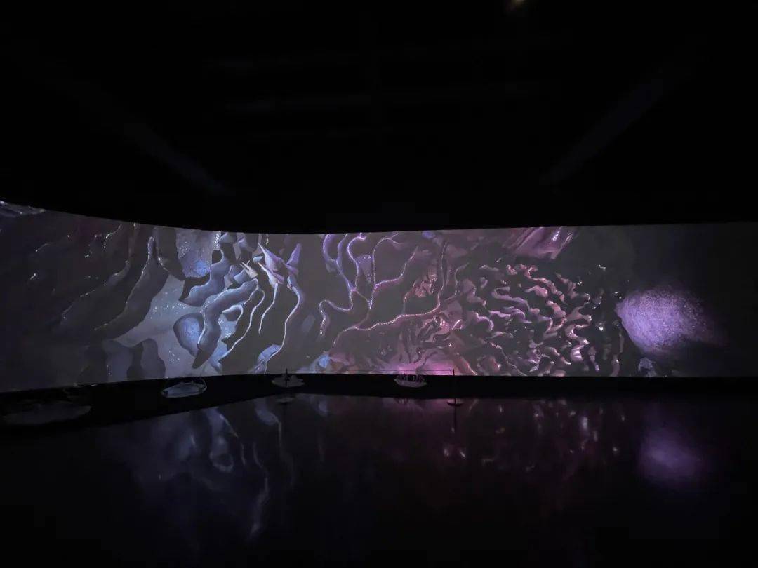 剧变的世界,如何才能“去中心化”地重塑?