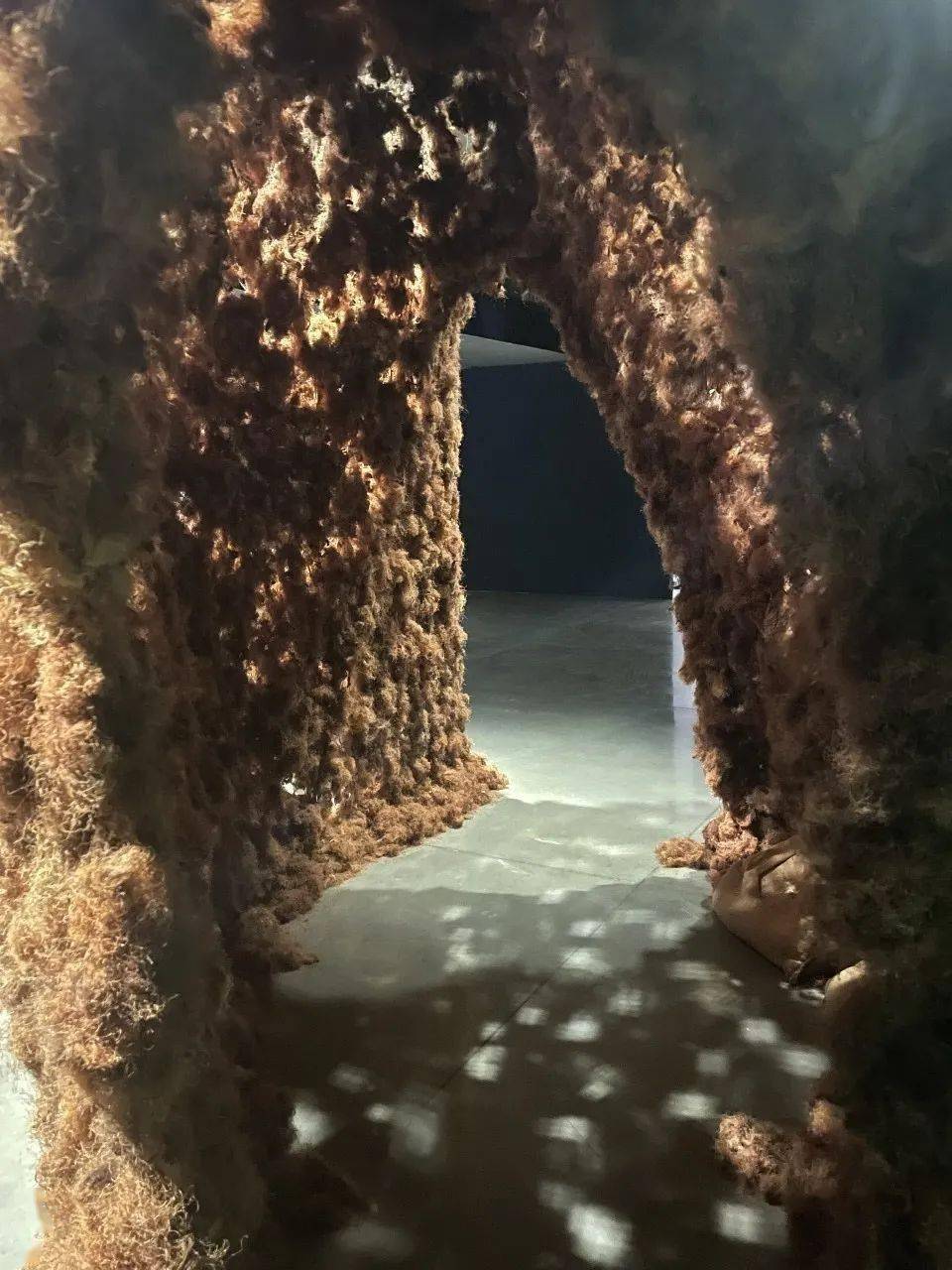 剧变的世界,如何才能“去中心化”地重塑?